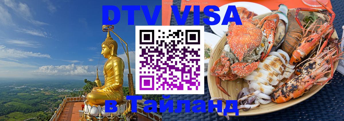 Оформление DTV визы под ключ: стоимость и тарифы, только загранпаспорт - 18.11.2025 